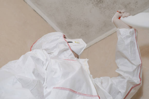 Best Mold Removal Near Me  in Maple Heights, OH